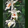 Weiße Orchidee Aquarellbild handgemalt in weiß, hellgelb, ocker, orange und Grüntönen 42 x 30 cm in Hochformat Bild 2