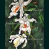 Weiße Orchidee Aquarellbild handgemalt in weiß, hellgelb, ocker, orange und Grüntönen 42 x 30 cm in Hochformat Bild 4
