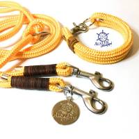 Leine Halsband Set gelb, braunes Leder für kleine Hunde mit 6 mm Tau Bild 1