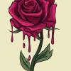 Sehr schönes Wandtattoo Rose ,konturgeschnitten in 6 Größen ab 30 cm x 45 cm Bild 2