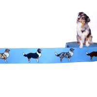 Webband Hund "Australian Shepherd" Borte, 20mm, blau, Hunde, Aussieborte, 1 Meter Bild 1