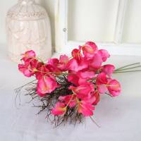 Lathyrus Bund Deko Blumen, Tischdeko, pink, Platterbse, 3 Stiele pro Bund, Pro Stiel 2,95 Euro, Floristikbedarf Bild 1