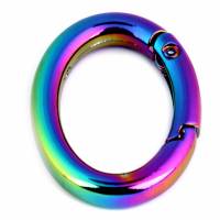 Karabiner Ring Oval 19/29mm Vernickelt Regenbogen Bild 1