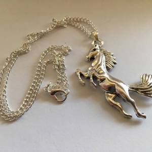 Kette Pferd, necklace horse, collier, Reiter, Reiten, riding Bild 3