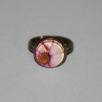 1 bronzefarbener Ring   Blume Bild 1