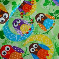 BW Exclusively Quilters "What a hoot" grün Bild 2