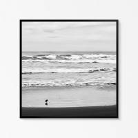Meer und kleiner Vogel am Strand, Kunstdruck in schwarzweiß, monochrom, Fotografie und stimmungsvolle Wanddekoration Bild 5
