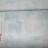 19,00 EUR/m Meterware Wilmington Prints Dry Brush hellblau US-Designerstoff Vintage Shabby-Chic Kissen Decken Taschen Bild 2
