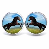 Ohrstecker Ohrhänger Clipse springendes Pferd Pferde schwarz - verschiedene Größen - Edelstahl - Geschenkidee Bild 1