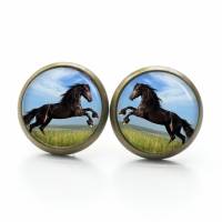 Ohrstecker Ohrhänger Clipse springendes Pferd Pferde schwarz - verschiedene Größen - Edelstahl - Geschenkidee Bild 3