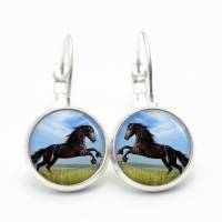 Ohrstecker Ohrhänger Clipse springendes Pferd Pferde schwarz - verschiedene Größen - Edelstahl - Geschenkidee Bild 4