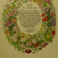 Reprint Ausgabe Neues Blumenbuch  Nürnberg 1680-Begleittext zur Ausgabe der Sächsischen  LB. Dresden Bild 2