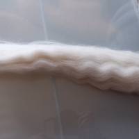 50 Gr. Polwarth Wolle im Kammzug, zum Spinnen, Weben und Filzen Bild 1