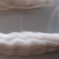 50 Gr. Polwarth Wolle im Kammzug, zum Spinnen, Weben und Filzen Bild 2