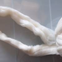 50 Gr. Polwarth Wolle im Kammzug, zum Spinnen, Weben und Filzen Bild 3