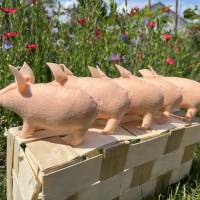 Schweinchen - Jahreszeitentisch - Tiere - Deko Bild 5
