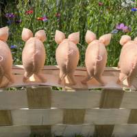 Schweinchen - Jahreszeitentisch - Tiere - Deko Bild 6