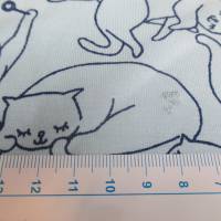 Jersey  Baumwoll - Jersey GLITZER  Katze hellblau Ökotex 100 (1m/12,-€) Bild 3