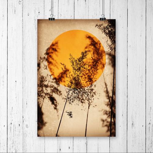 Sonne in Orange, Gräser im Licht, Hintergrund erdiges Beige, Fotografie und Illustration, Poster Kunstdruck modern