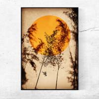 Sonne in Orange, Gräser im Licht, Hintergrund erdiges Beige, Fotografie und Illustration, Poster Kunstdruck modern Bild 2