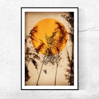 Sonne in Orange, Gräser im Licht, Hintergrund erdiges Beige, Fotografie und Illustration, Poster Kunstdruck modern Bild 3