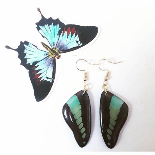 Ohrringe Schmetterling grün blau