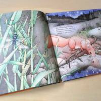 Wo das Glück zu finden ist: Kinderbuch "Wie das Eichhörnchen seinen Glücksstern fand", für Kinder und Erwachsene Bild 7