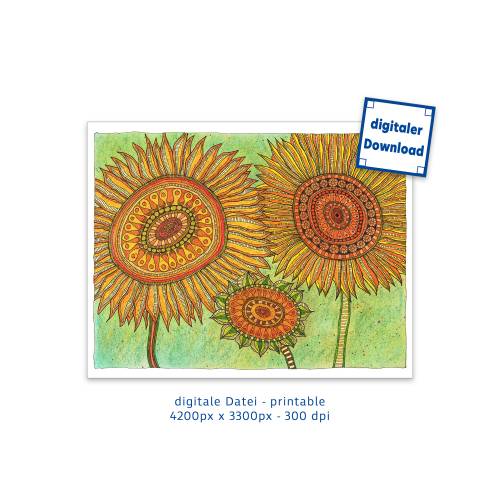 Digitale Datei, Kunst zum Ausdrucken, 3 Sonnenblumen, 4200 px x 3300 px, 300 dpi