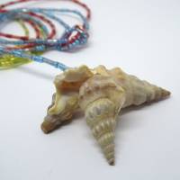 Lange bunte Halskette mit Miniperlen und echten Muscheln zum Knoten, maritimer Look für Naturliebhaberinnen Bild 8
