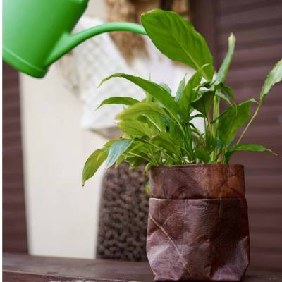 Veganer Blumentopf POD LEAF aus Blattleder (BELEAF)