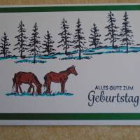 Geburtstagskarte Glückwunschkarte  Geburtatag Frau.Kind Mädchen Pferd Pferde Bild 1