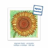 Digitale Datei, Kunst zum Ausdrucken, 1 Sonnenblume, 4200 px x 4200 px, 300 dpi Bild 1