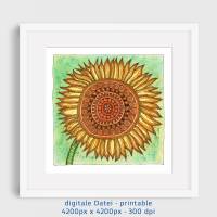 Digitale Datei, Kunst zum Ausdrucken, 1 Sonnenblume, 4200 px x 4200 px, 300 dpi Bild 2