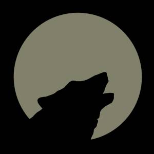 Wolf Moon Bild 1