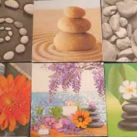 6 Servietten / Motivservietten  Natur / Nature / Steine / Pflanzen / Blumen / Wasser  Motive Mix 2 Bild 1