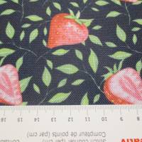 Canvas Druck mit PVC-Coating  Erdbeeren nachtblau (1m /10,00€) Bild 5