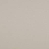 Jersey Baumwolljersey UNI Einfarbig hellgrau Oeko-Tex Standard 100 (1m/11,-€) Bild 3