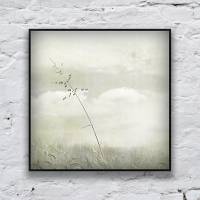 Kunstdruck und Fotografie, Gras und Wiese, Bild vintage, sepia, filigranes Naturmotiv, 13 x 13 und 20 x 20 cm Bild 2
