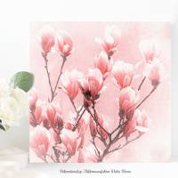 MAGNOLIENBLÜTEN Blumenbild auf Holz Leinwand Kunstdruck Frühlingsblumen Wanddeko Landhausstil ShabbyChic VintageStyle Bild 5