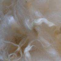 100 Gramm lockige Wolle vom Scotish Blackface Lamm, zum Spinnen, Filzen und Basteln Bild 3