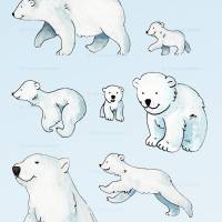 EISBÄREN AQUARELL CLIPART, Eisbären zum Downloaden, arktische Bilder Bild 2