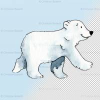 EISBÄREN AQUARELL CLIPART, Eisbären zum Downloaden, arktische Bilder Bild 3