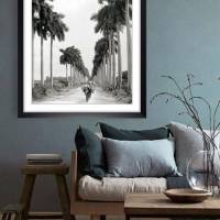 Havanna Kuba 1903 Allee mit Palmen,schwarz weiß Fotografie Bild Kunstdruck gerahmt 44 x 54 cm Wandbild Vintage Bild 4