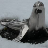 Flaschenöffner - Metall verchromt - hier wird gerobbt - Große Robbe im Schnee Bild 1