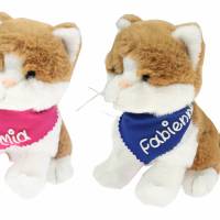 Kuscheltier Katze braun 18cm mit Namen am Halstuch - Personalisierte Schmusetiere für Jungen und Mädchen Bild 1