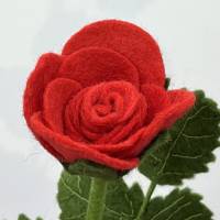Rose rot -  Jahreszeitentisch - Blumenkind - Sommer Bild 5