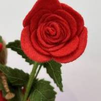 Rose rot -  Jahreszeitentisch - Blumenkind - Sommer Bild 8