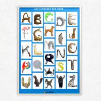 Buchstabenposter Tiere fürs Kinderzimmer | Format A2 blau | Alphabet Plakat zur Wandgestaltung | ABC Lernposter Bild 1
