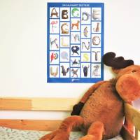 Buchstabenposter Tiere fürs Kinderzimmer | Format A2 blau | Alphabet Plakat zur Wandgestaltung | ABC Lernposter Bild 2