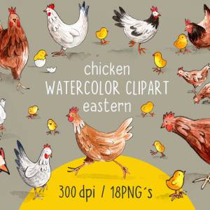 HUHN AQUARELL CLIPART, Hühner-Clipart-Set, Hühner und Kücken zum Downloaden Bild 1
